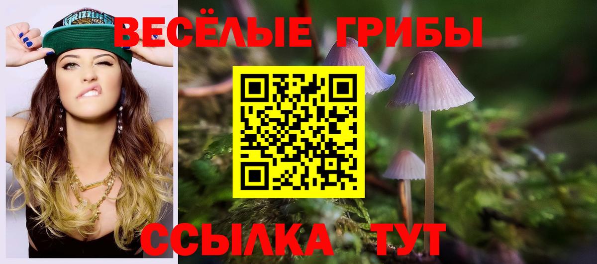 Псилоцибиновые грибы ЛСД  Вход с VPN  Каспийск  Псилоцибиновые грибы Magic Shrooms 